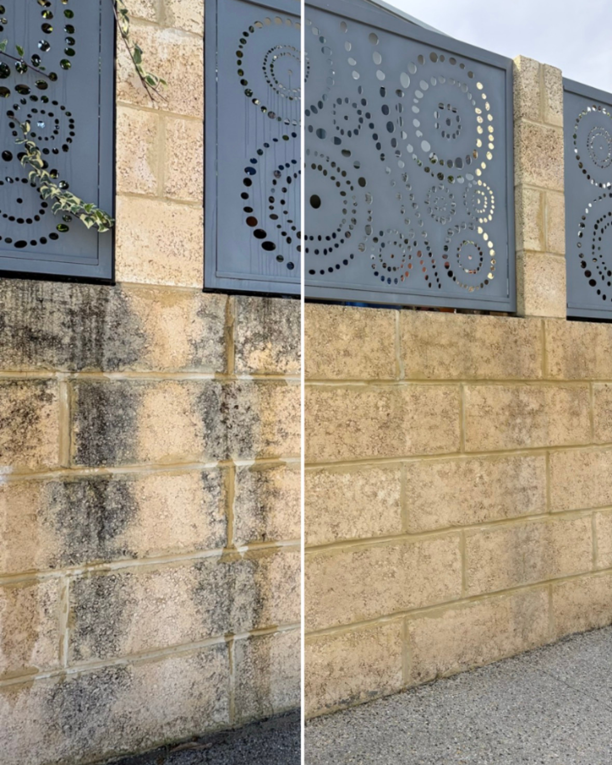 Limestone block fence before and after pressure cleaning in Mandurah
